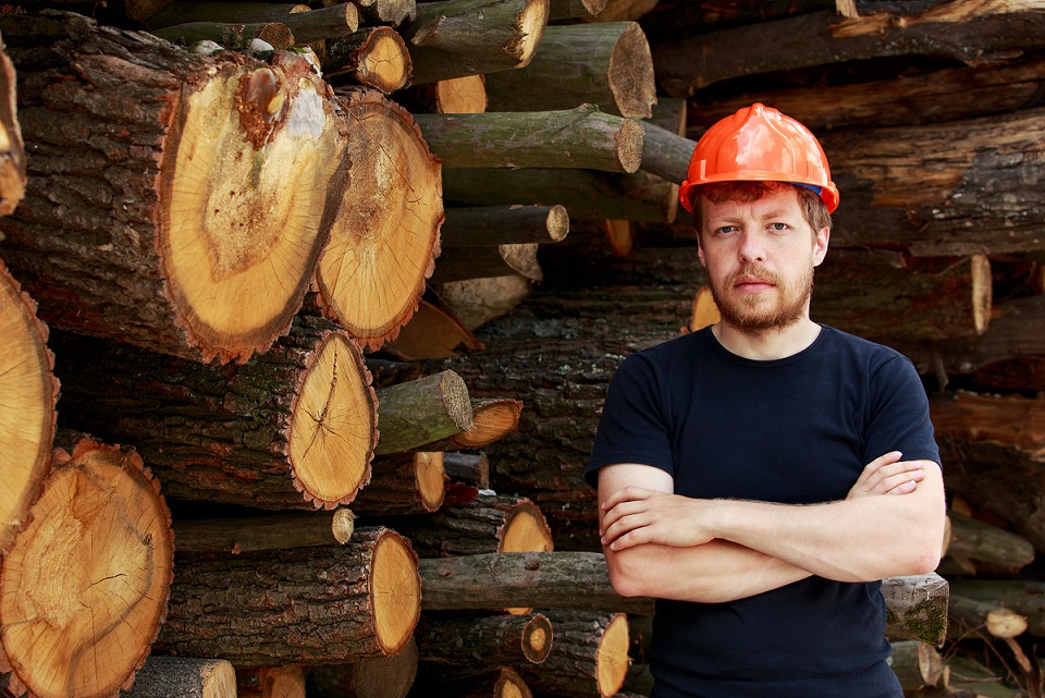 Bronx Tree Removal service