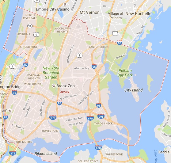 Throgs Neck Tree Service